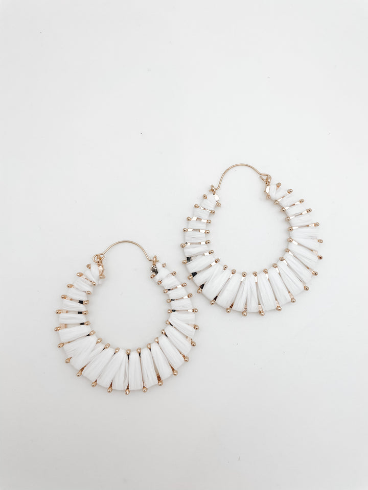 Coral Cables Hoops